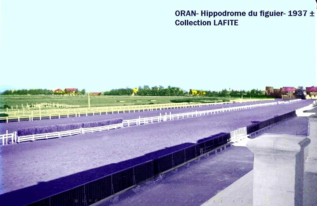 Oran- Le figuier 22a.jpg